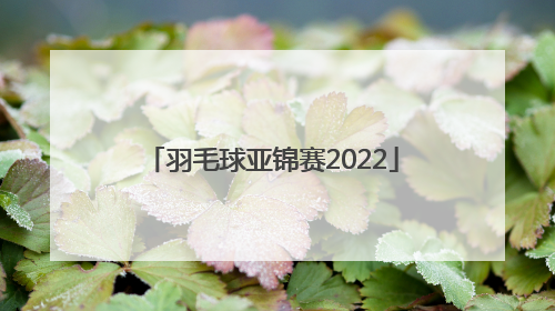 「羽毛球亚锦赛2022」2022年羽毛球世锦赛直播