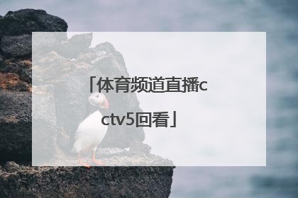 「体育频道直播cctv5回看」CCTV5体育频道主持人