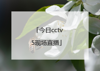 「今日cctv5现场直播」今日cctv5现场直播中国与比利时女排比赛视频