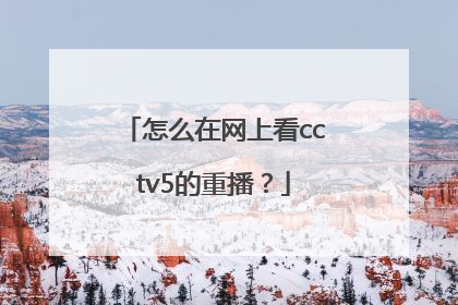 怎么在网上看cctv5的重播？