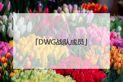 「DWG战队成员」DWG战队成员姓名