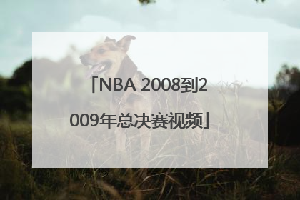 NBA 2008到2009年总决赛视频