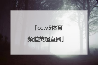 「cctv5体育频道英超直播」CCTV5英超直播表