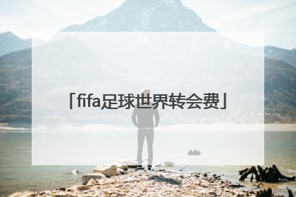 「fifa足球世界转会费」fifa足球世界转会费怎么卖