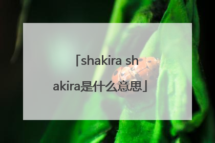 shakira shakira是什么意思